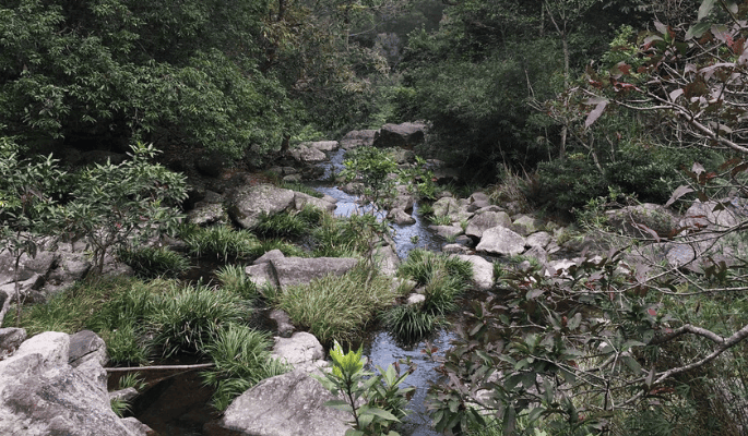 yi gua feng shui intro